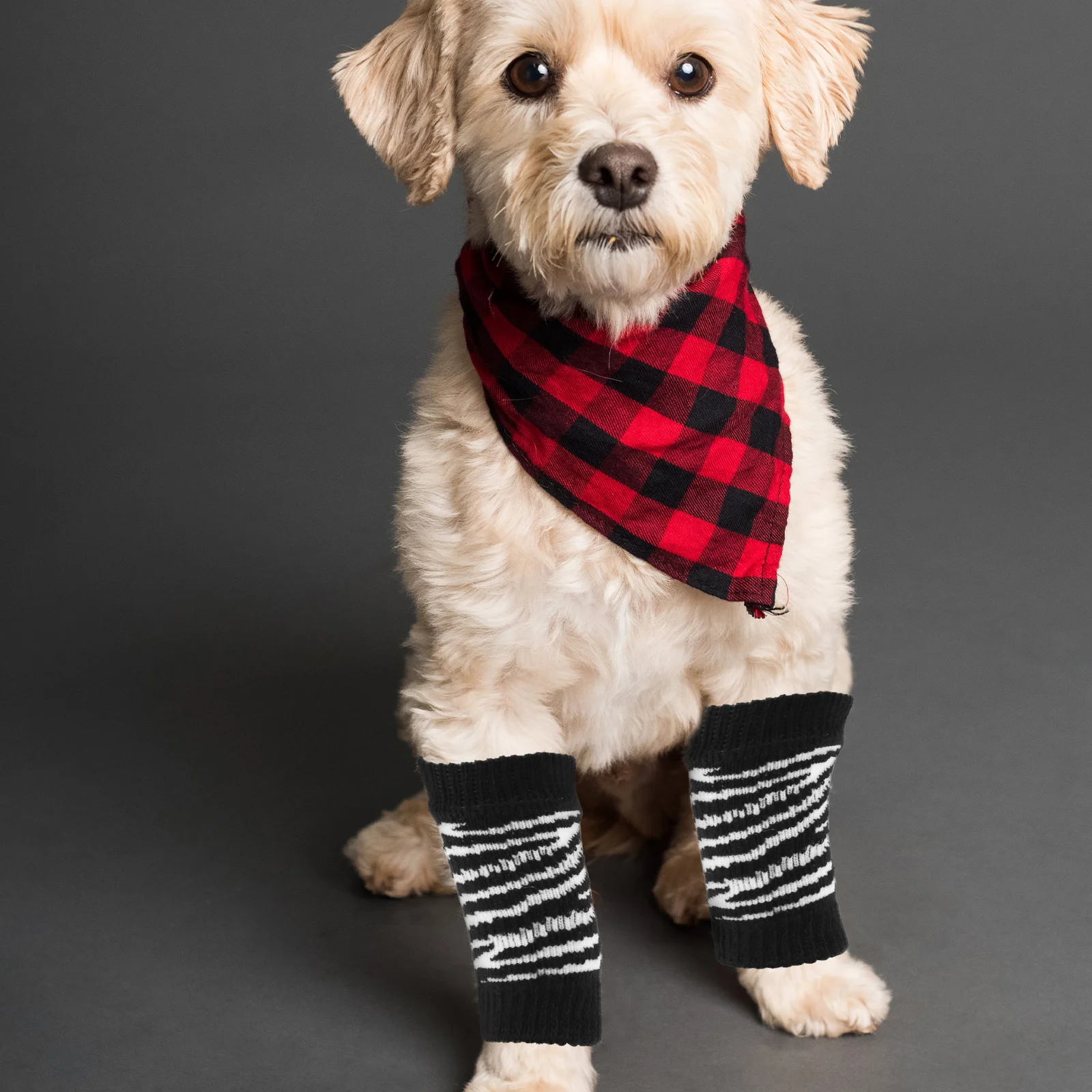 

1 set 1 Set Dog Winter Warm Cotton Pet Socks Breathable Comfortable Replaceable Socks For Dogs Puppy Accessories Leg Protectors
