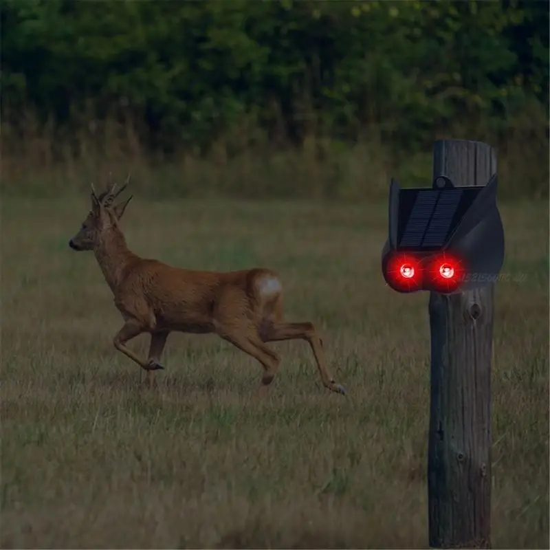 27rb солнечные животные преследование с предупреждением, подходящим для защиты сада