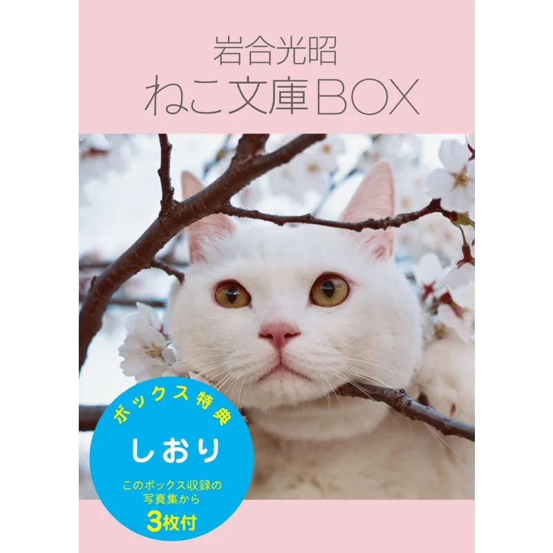 Mitsuaki Iwago Neko Bunko BOX1 6volume Set Mitsuaki Iwago Clevis 9784909532701 Book