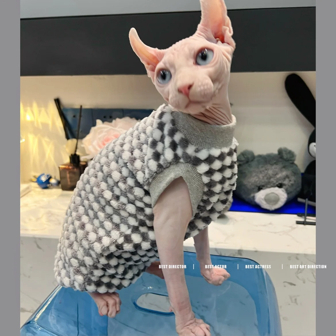 Sphynix Cat Sweater Hairless Cat Clothes Thickening Warm Soft Plaid Lamb Wool Fiber Coat for Devon Rex Winter Outwear