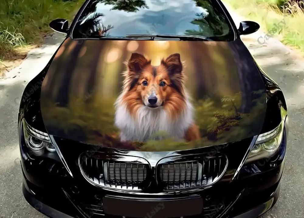 Shelties Shetland Sheepdog Car Hood Vinyl Stickers Wrap Vinyl Film Engine Cover Decals Sticker on Auto Accessories Decoration