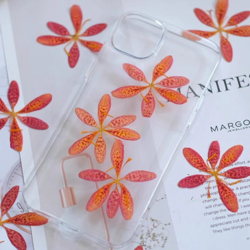 12 Stück, gepresste Belamcanda- und Iris-Trockenblumen, ideal für DIY-Epoxidharz-Handwerk, Handyhüllen, Untersetzer, Pflanzenrahmen, handgefertigte Dekoration – Detail 4