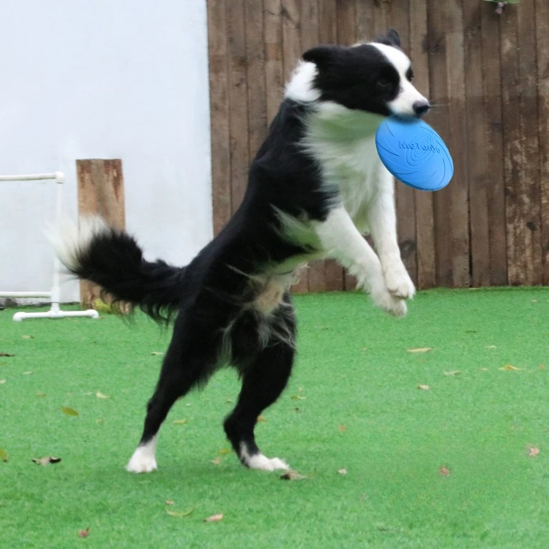 Frisbee para Perros, Frisbee Especial para Mascotas, Resistente a Mordidas, Frisbee de Entrenamiento, Frisbee de Arrastre, Juguetes Estándar para Perros, Productos para Mascotas
