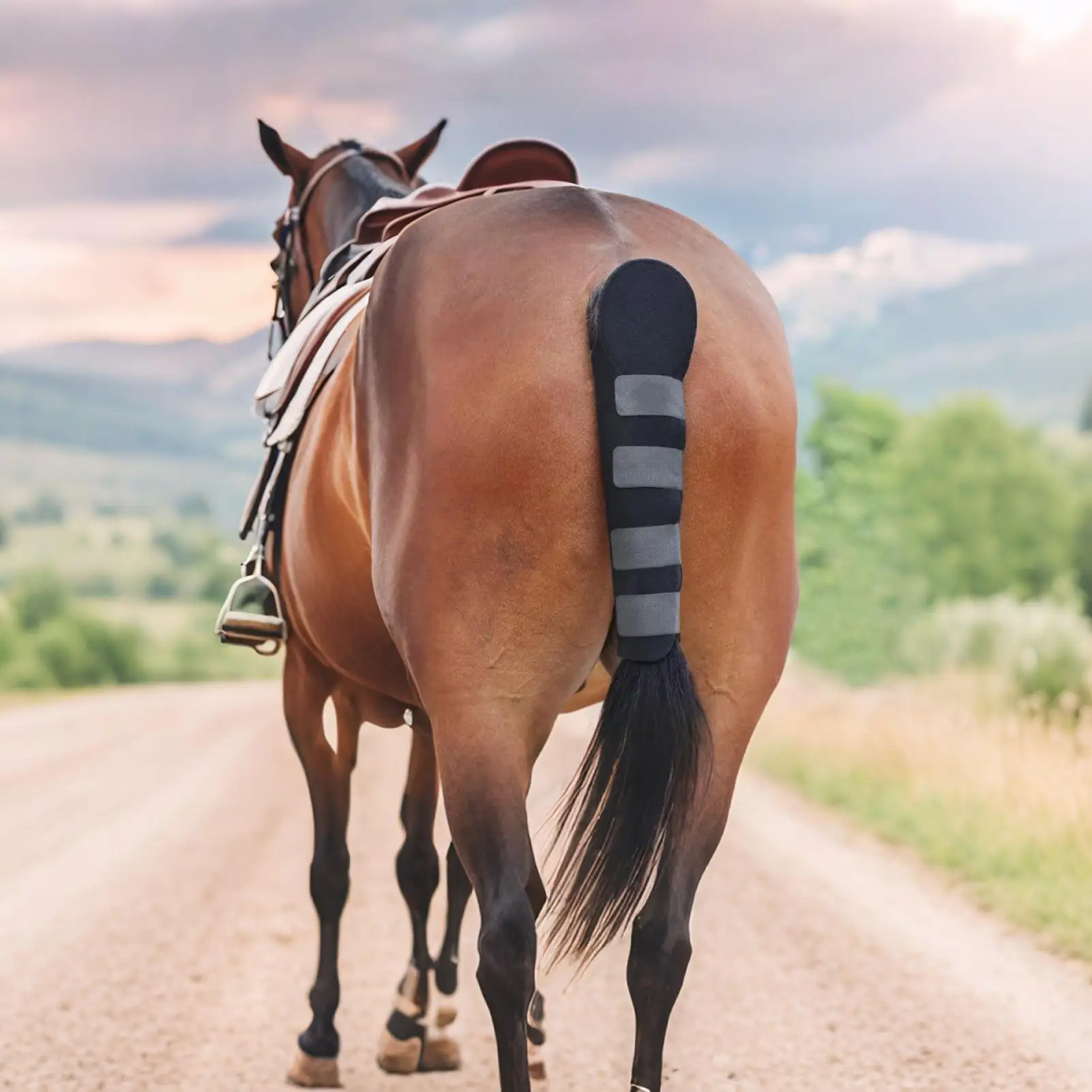 أكياس الذيل للخيول ملحقات حماية الحصان الخيول الذيل الحرس التفاف لخروج الدوران مسابقة سباق مستقرة في الهواء الطلق #3