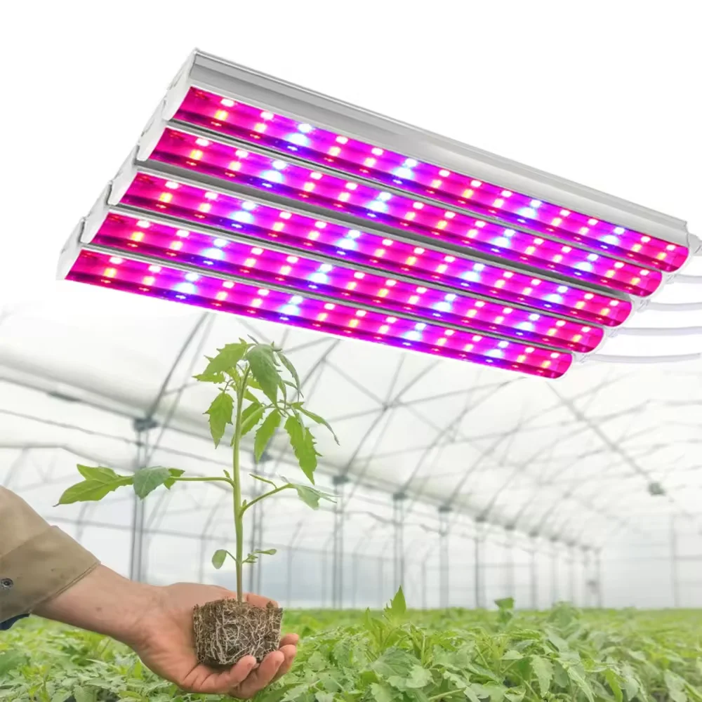 Full Spectrum Light Emitting Diode Grow Light T8 T5 Tube Stick 60Cm 90Cm 120Cm Plant Zaailing Kas Indoor Plant Lights