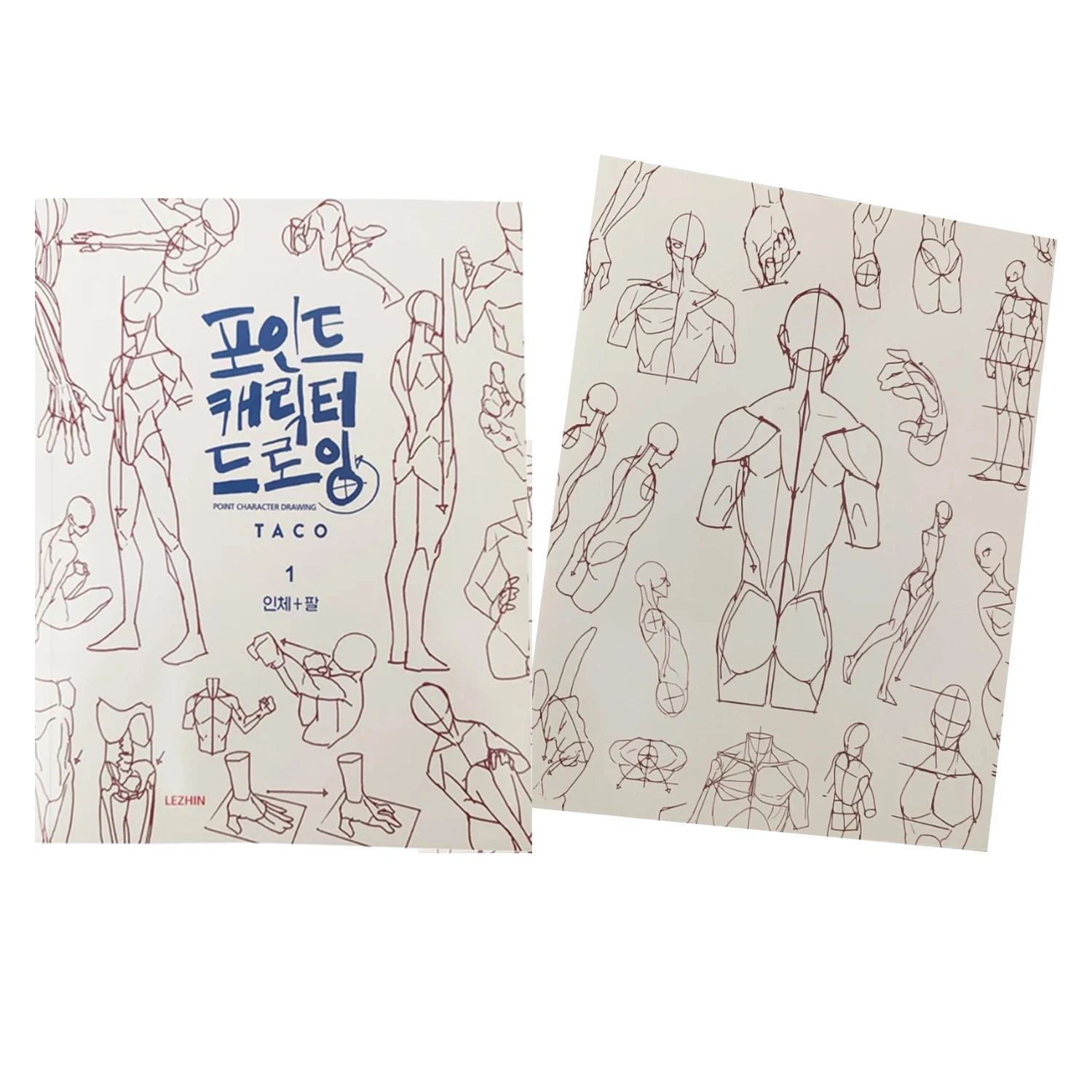 كتاب رسم سري لشخصية الرسام الكوري، كتاب فني، هيكل جسم الإنسان، كتب تقنية مرسومة يدويًا
