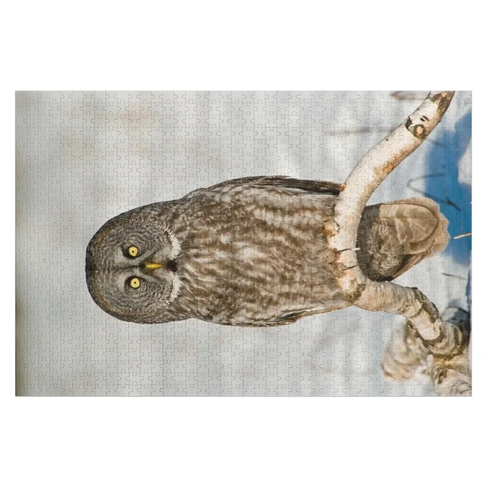 

Great Grey Owl Jigsaw Puzzle Customs With Photo Wooden Boxes Personalized Gift Married Toys For Children Puzzle