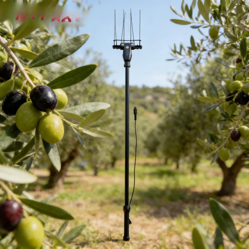 

Ergonomic Handle Stable Output Power Long Life Electric Harvester Energy-Saving High Efficiency Olive Picking Machine