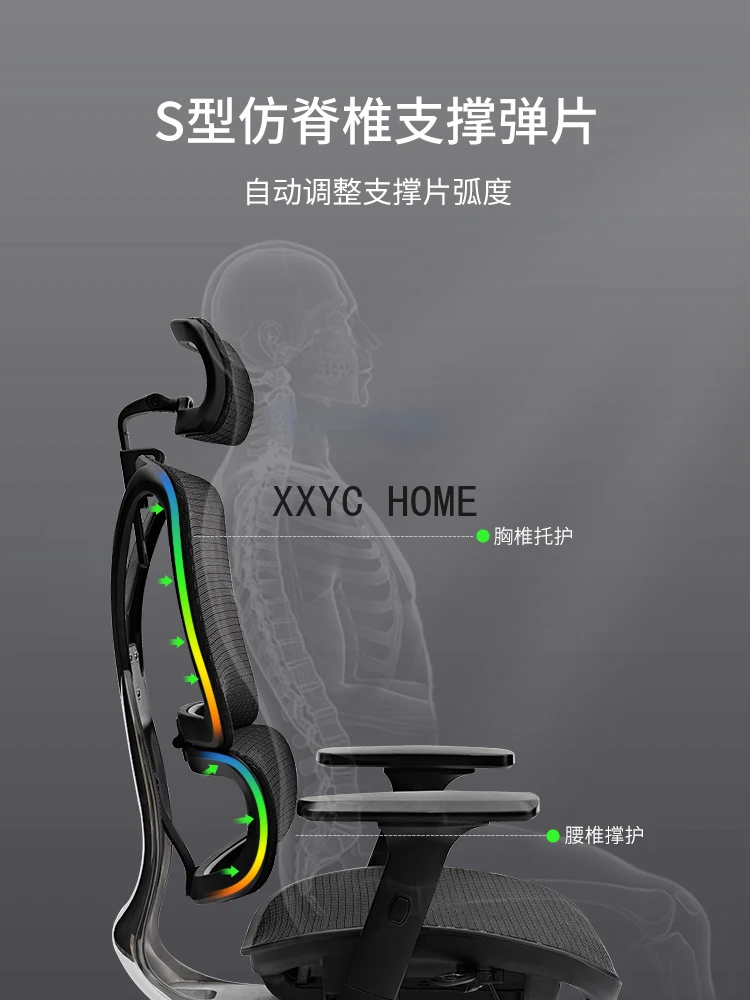 Ergonomic Chair Computer Chair Double Back Waist Support Comfortable Long Sitting and Lying Gaming Chair