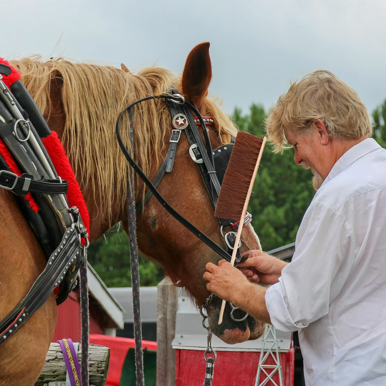 فرشاة تنظيف الحصان، تصميم مريح لقبضة مريحة، مستلزمات العناية بالجسم والساقين وخفيفة الوزن