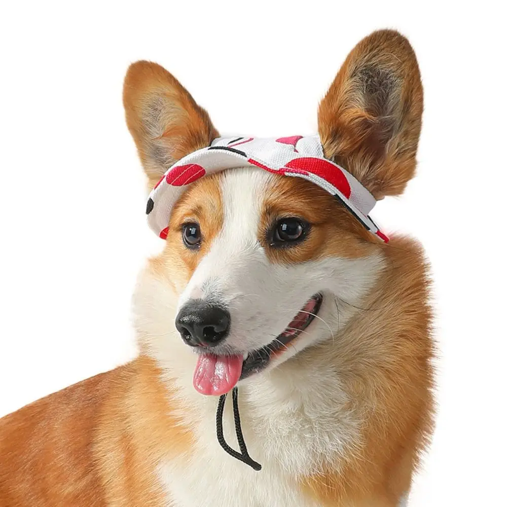 

Pet Accessories Soft Dog Sun Protection Hat Breathable Adjustable Dogs Bucket Hat Exposed Ears Dog Baseball Cap For Cat Puppy