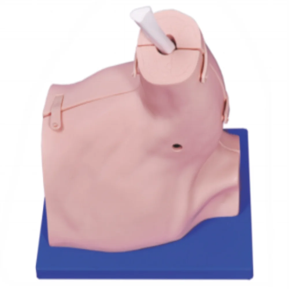 Shoulder Arthroscopy Model Medical Science Shoulder Arthroscopic Examination Simulator Medico Surgical Operation Teaching Materi