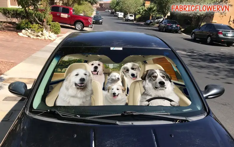 Great Pyrenees Car Sunshade, Great Pyrenees Car Decoration, Dog Windshield, Dog Lovers Gift, Dog Car Sunshade, Gift For Mom, Gif