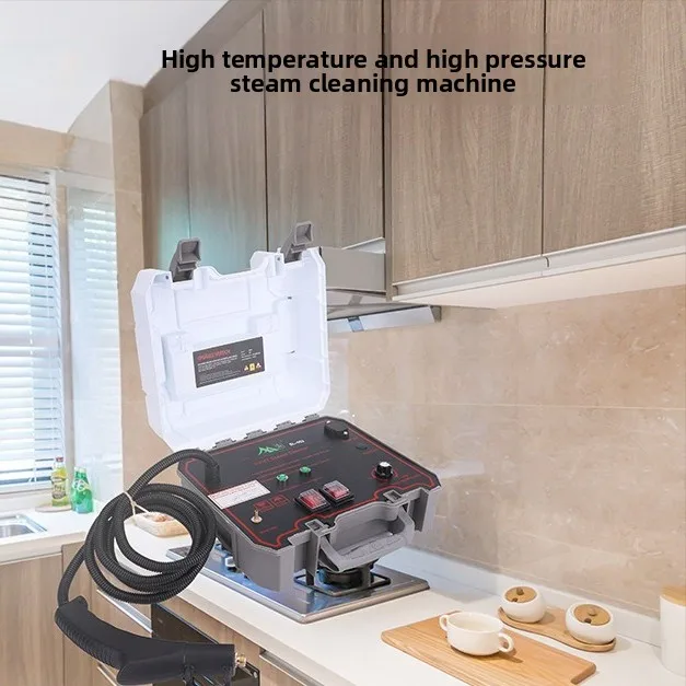 High Temperature and Pressure Steam Cleaner 4Bar Multipurpose Pressurized Steam Cleaning Machine High Pressure Pulse 110V /220V