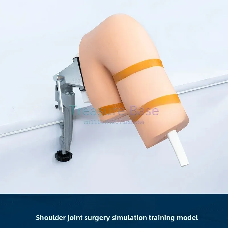 

Модель коленного сустава, модель плечевого сустава, тренажер для моделирования артроскопической хирургии, тренировочная коробка