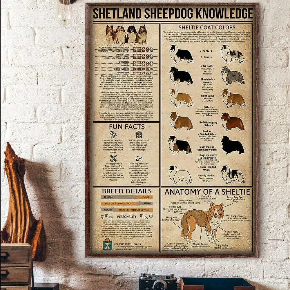 Plaque décorative vintage en métal, affiche murale sur l'anatomie du Shetland Sheepdog, pour la maison, la cuisine, la salle de bain