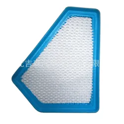 air filter for 2009- Cadillac CTS 3.0/3.6L A3096C 15875795 101970615