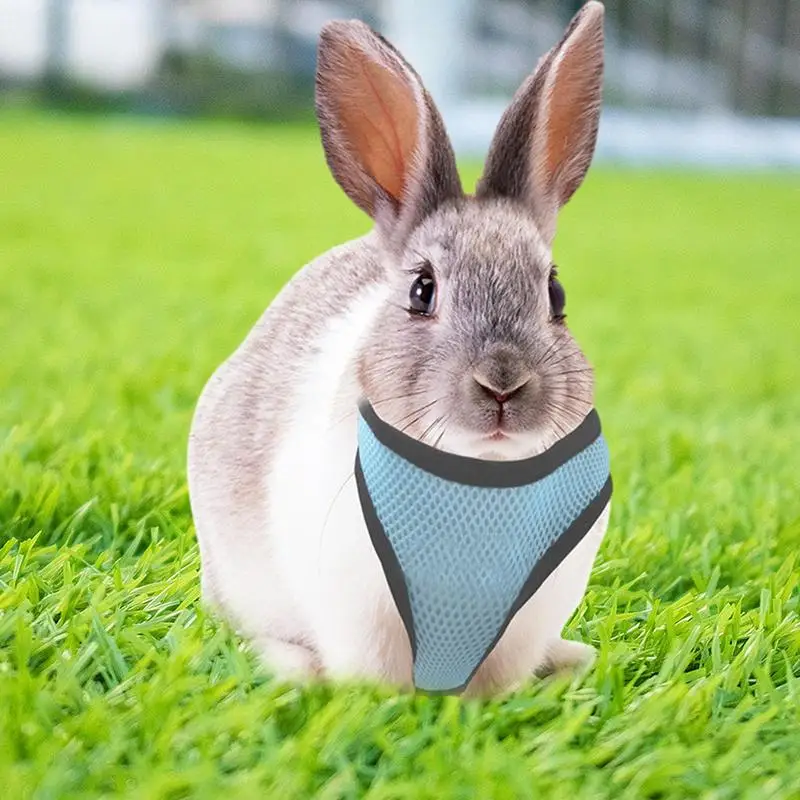 Small Cat Harness Breathable Mesh Soft Bunny Vest Small Pet Outfits Escape Proof Small Animal Harness For Walking Outdoor Hiking view 2