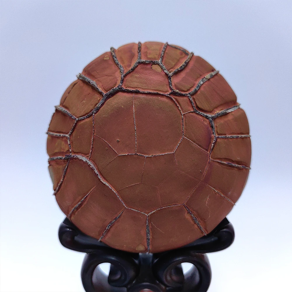 1PC Crystals Room Decoration Bronzite Natural Precision Collect Mountain Be Different From Others Asian Natural Stone Rock Reiki