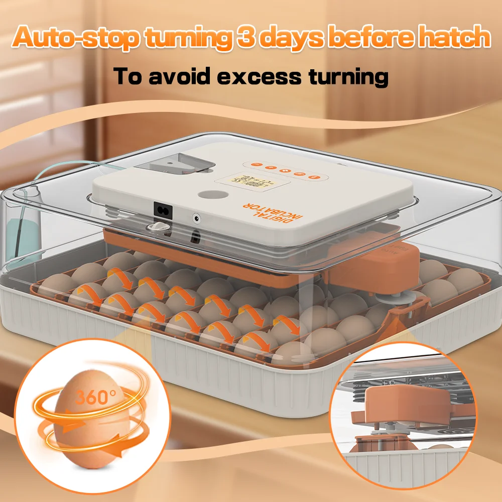 Good Price Cost Efficient Hot Selling HHD Incubator Hatching s Machine for 56H Chicken s
