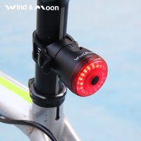 Bicycle Taillights Intelligent Sensing Brake Lights Usb Road Bike MTB Rear Tail Lights Double Fracket Mounting for Saddle & Seat