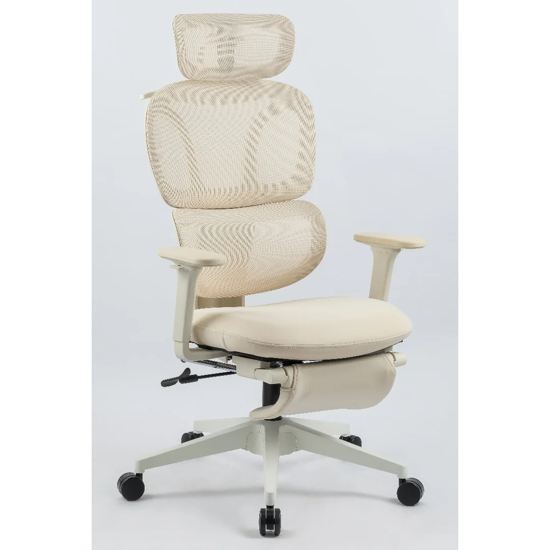 

Ergonomic Office Chair with Footrest, High Back Mesh Desk Chair with Dynamic Lumbar Support, 2D Headrest, 2D Armrests, Cream