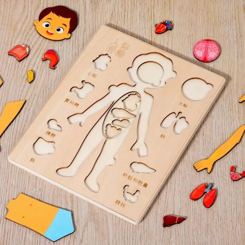 NEW Learning Board Montessori Puzzles Wood Educational Early Education Games Interactive Human Body Puzzle Preschool