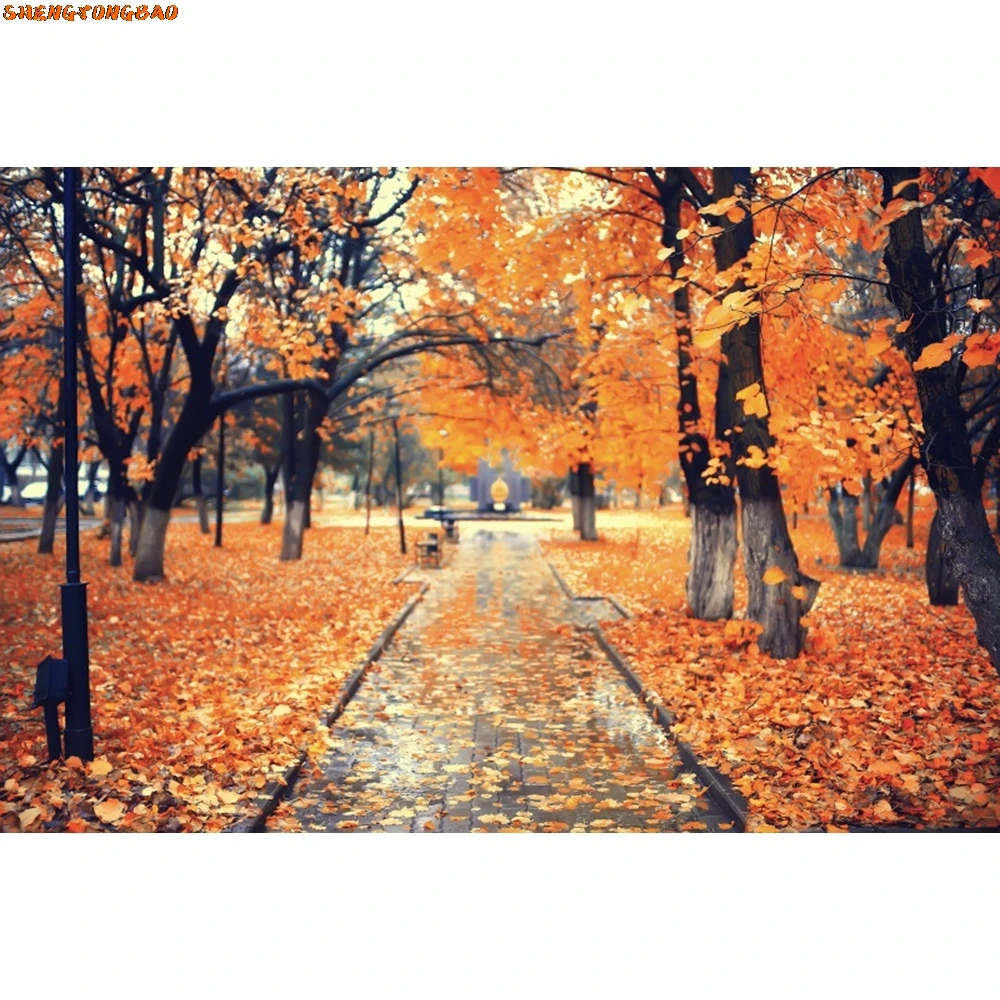 Herbst-Hintergrund für Fotografie, Bergstraße, Wald, Ahornblätter, Bäume, natürliche Landschaft, Baby-Portrait-Hintergrund, Fotostudio