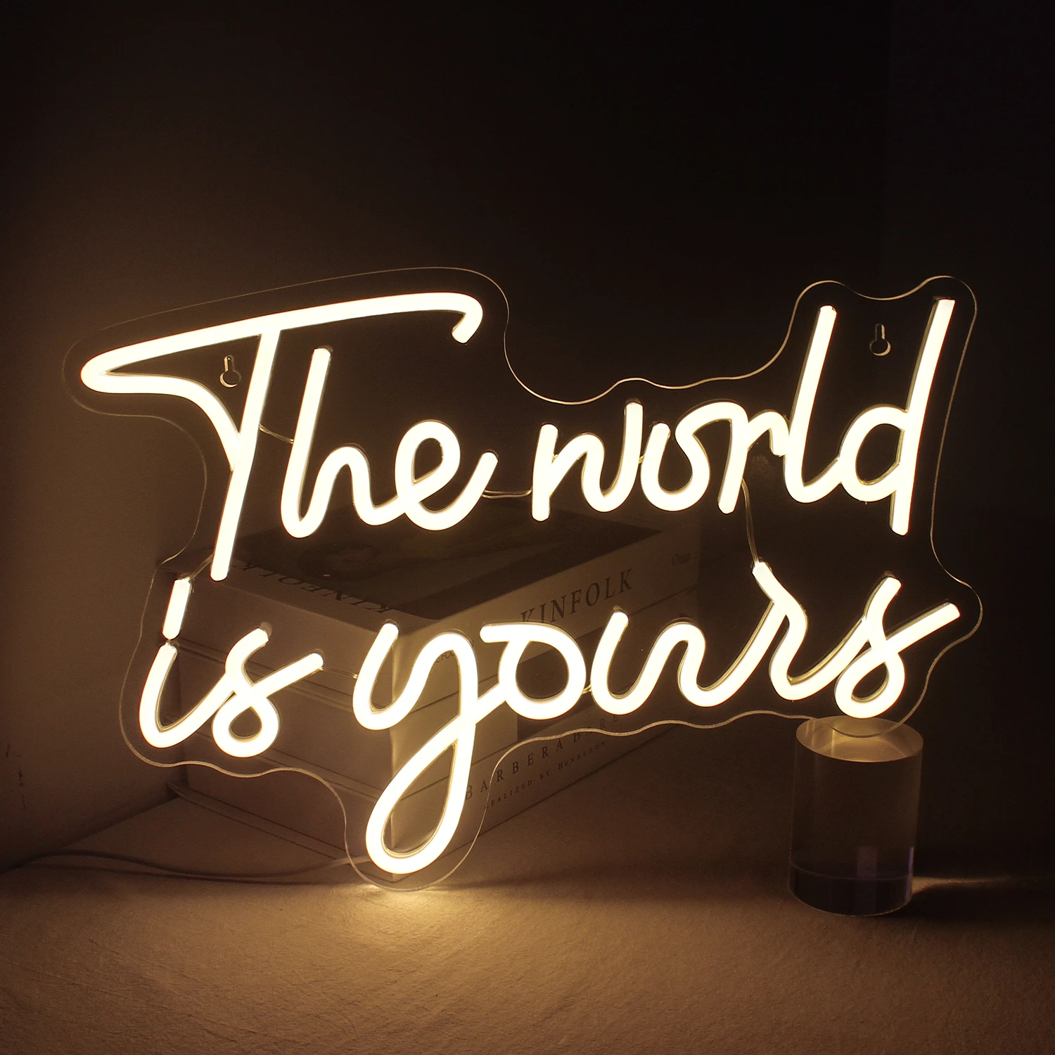 

Ineonlife The World Is Yours Personalized Neon LED Lights Sign Bedroom Party Birthday Favors Room Christmas Bar Lamps Wall Decor