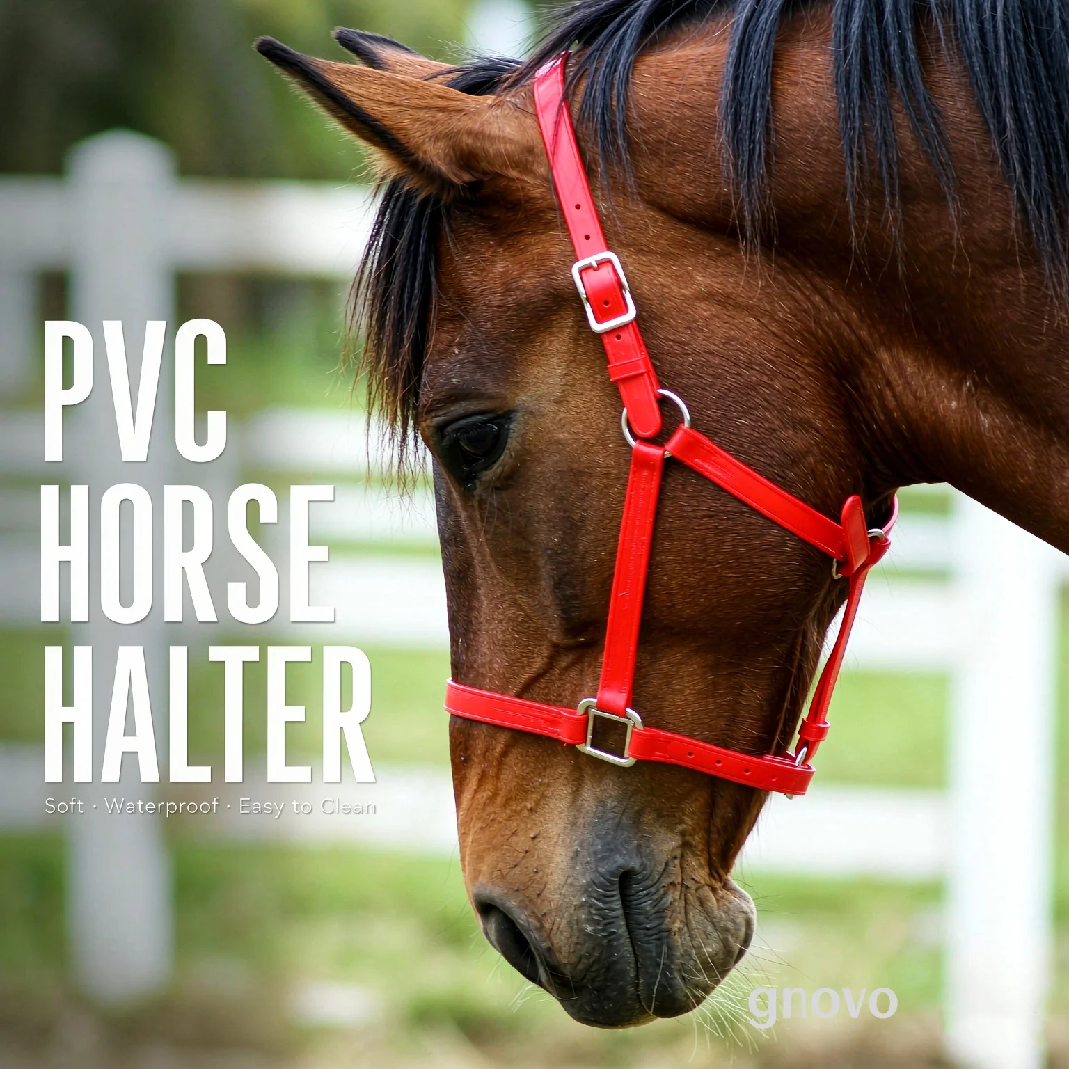 Adjustable PVC Horse Halter with Silver Hardware, Waterproof Durable Noseband Headcollar for Horse Pony Foal Red
