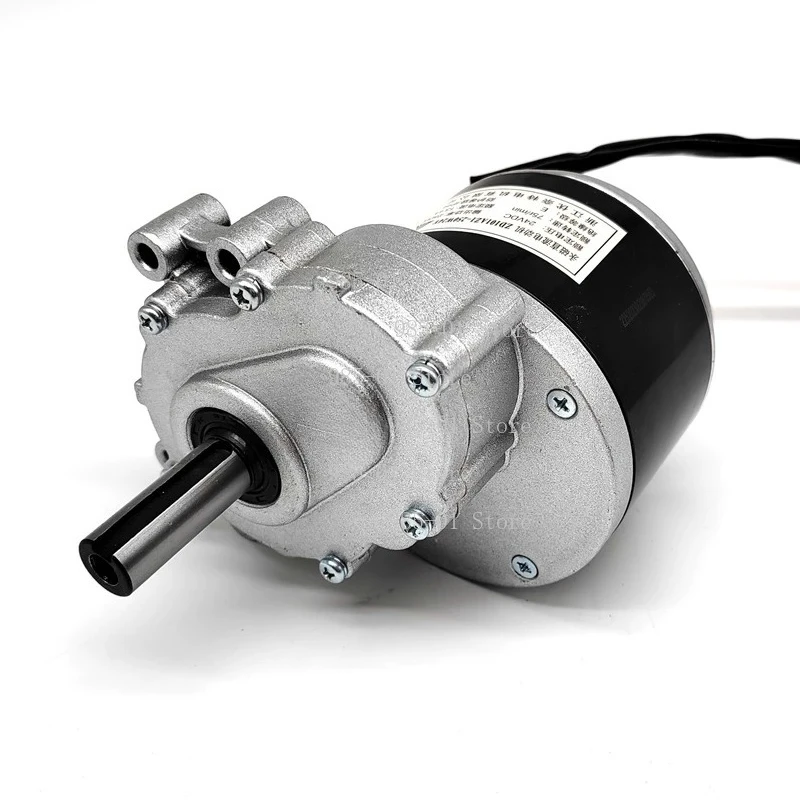 

24V 250W Electric Brake Motor, 75/120/160/200 RPM Low Speed Motor for Wheelchair and Disabled Mobility Scooter