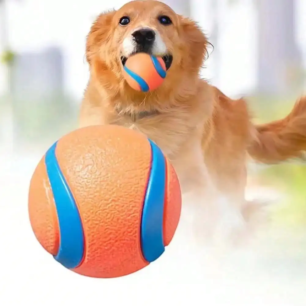 #26 Dog Balls Comparison Guide