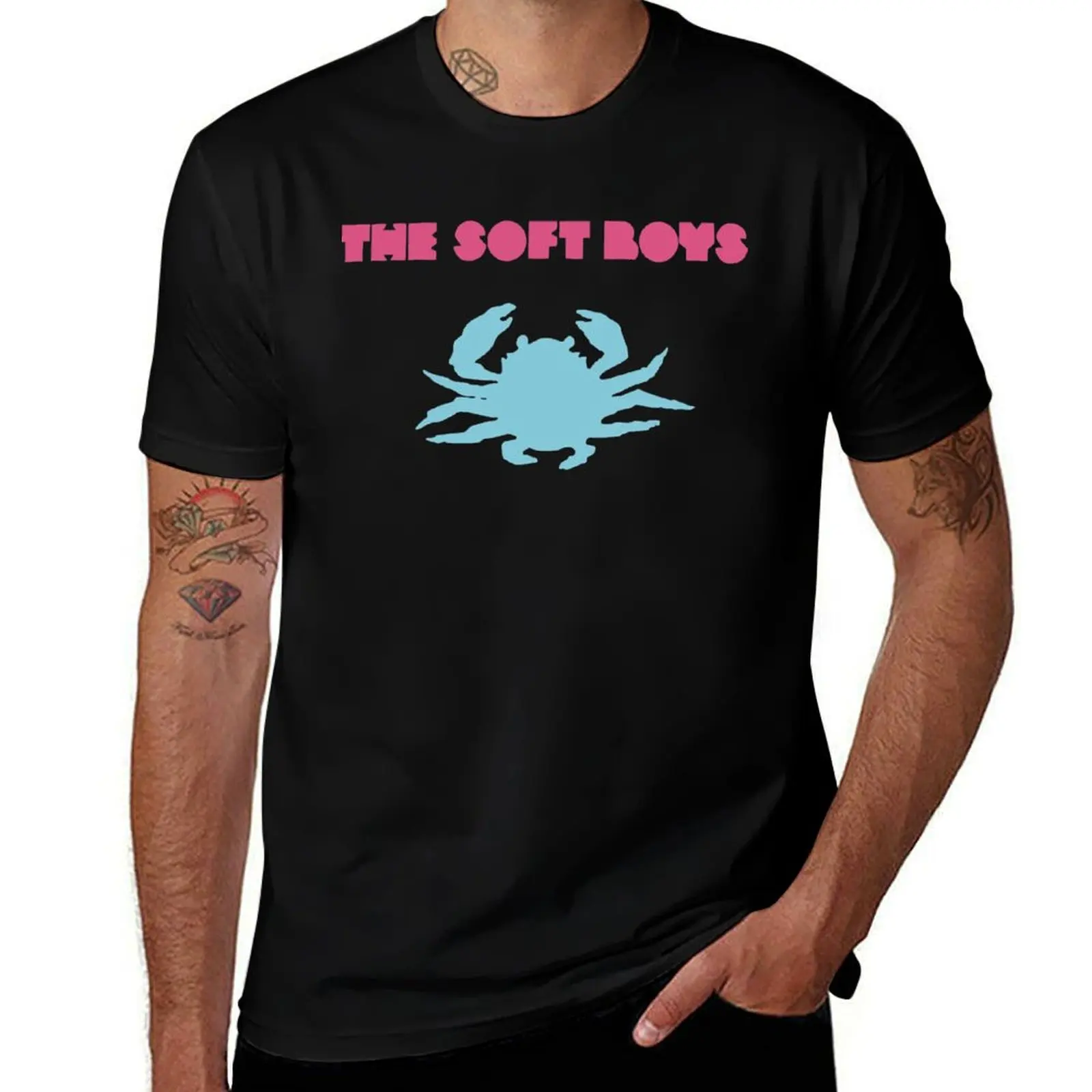

The Soft Boys T-Shirt Daily Wear Print T-Shirt