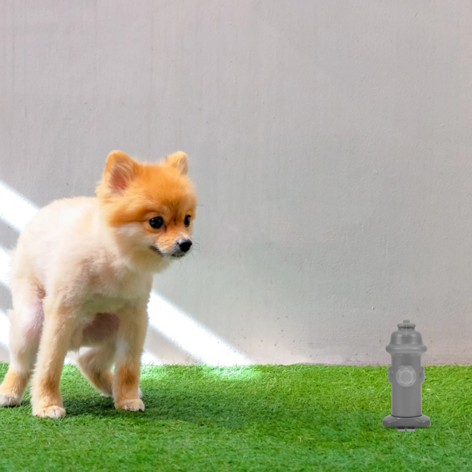 

Stable Plastic Dog Toilet Urine Post Indoor Puppy Training Potty Tray Catheterization Guide Column Pet Accessory