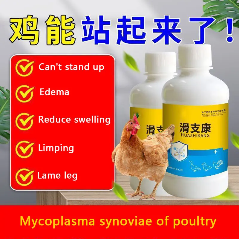 

Paralysis, limping, swollen joints and lameness in chickens, ducks and geese. Mycoplasma synovial sac for poultry