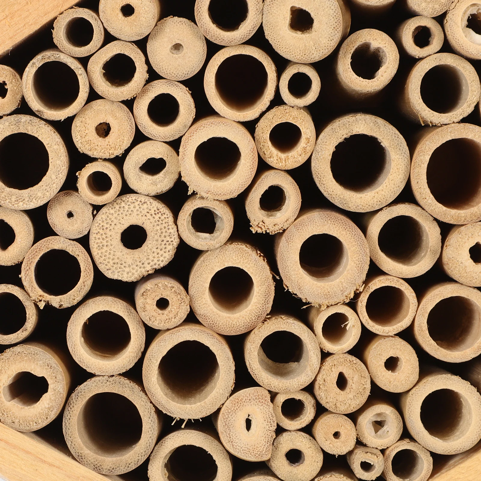 

Hexagonal Bee House Wooden Hanging Insect Nest Outdoor Garden Supplies Natural Bee Habitat Wooden Beehive Garden Supplies