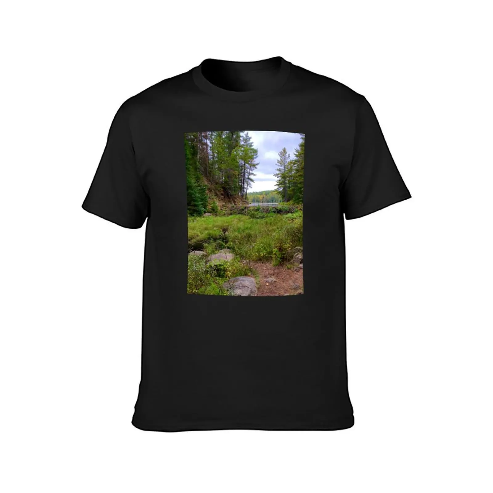 Beaver Pond Trail, Algonquin Provincial Park T-Shirt sweat summer clothes for a boy Men's t-shirts