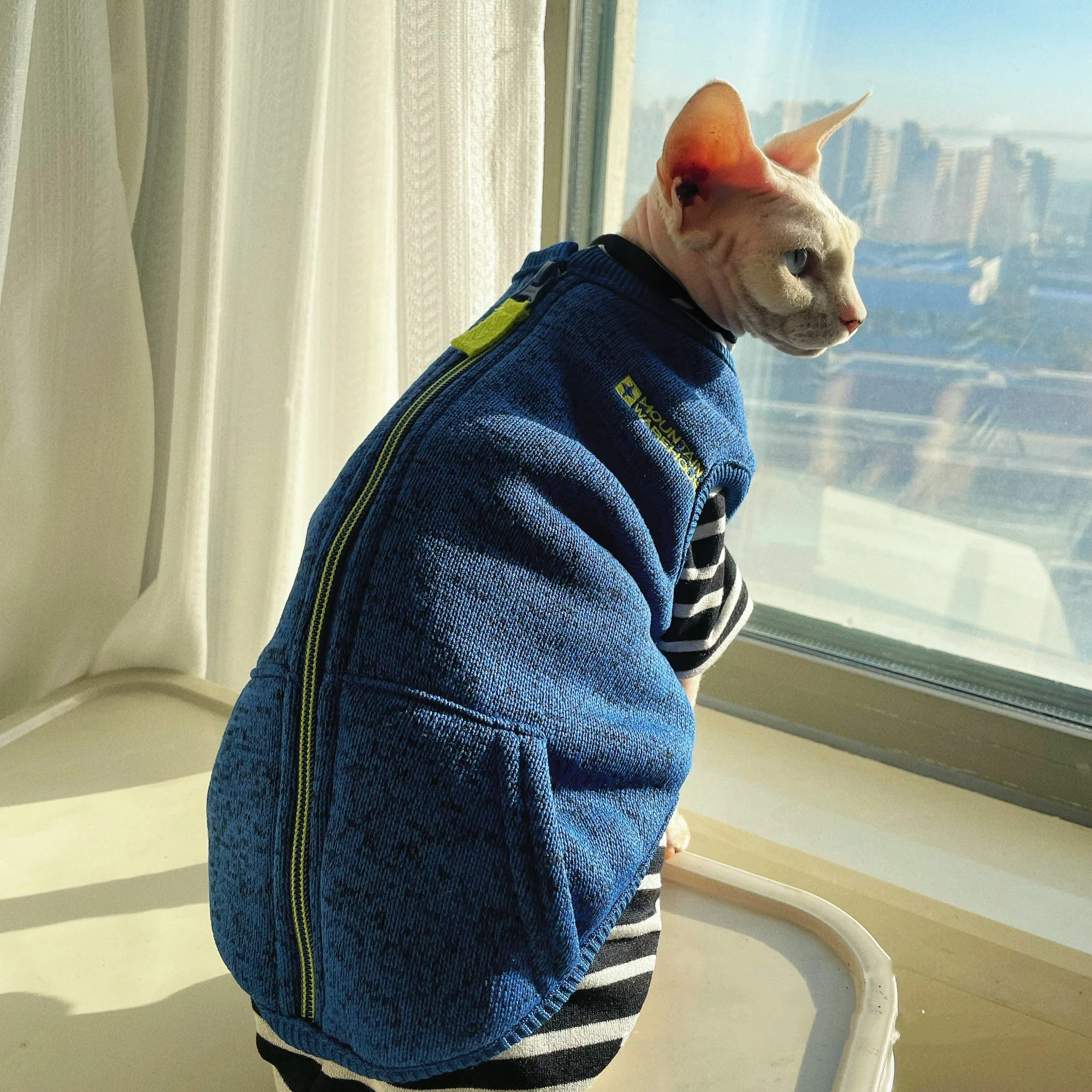 Abrigo de invierno para gato Sphynx, chaqueta gruesa de lana azul con cremallera para gatos, chaleco gris cálido para disfraces de moda Devon Rex para gato masculino