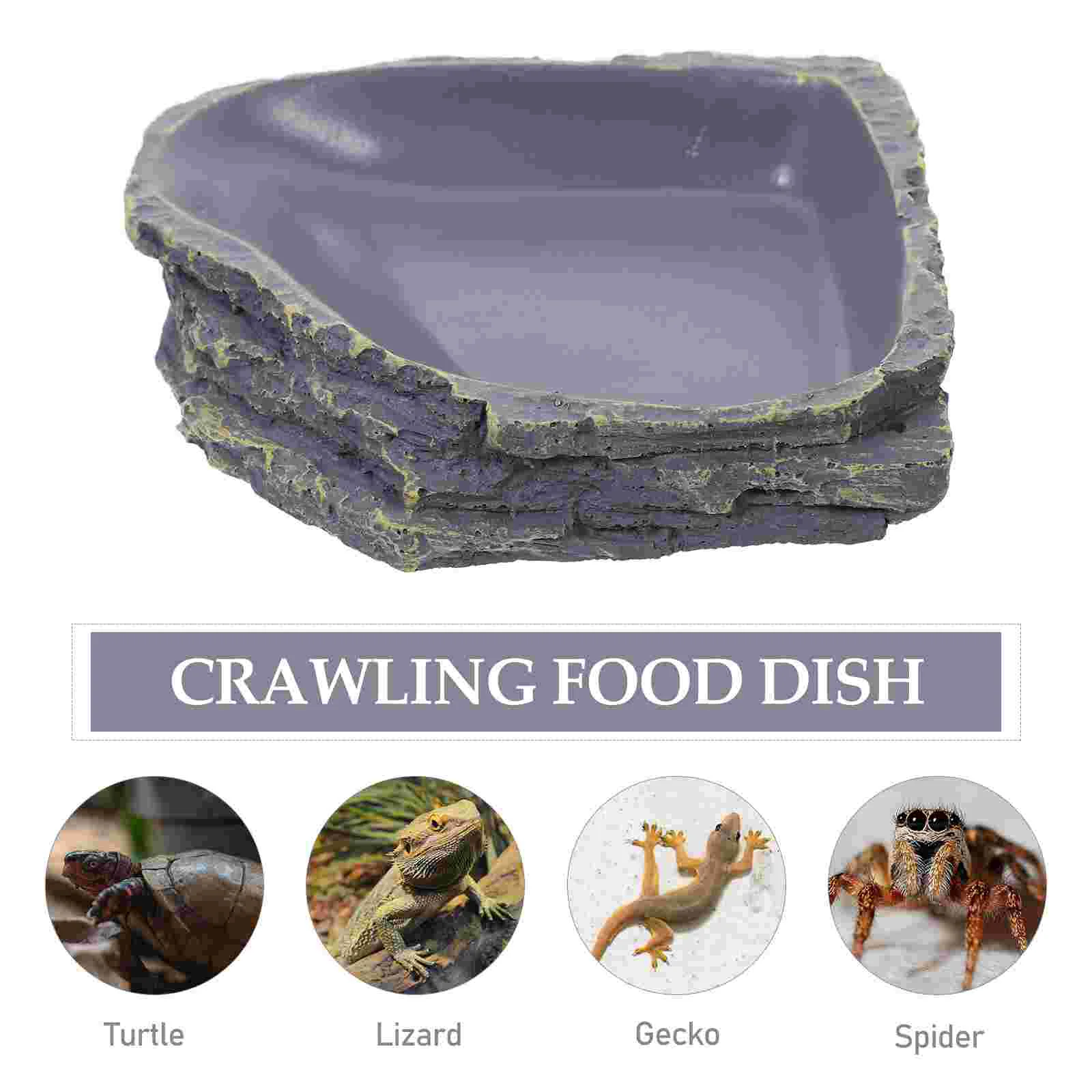 Bowls For Reptile Accessoriess Accessories Supplies Bowl Reptile Accessoriess Accessories Food Bowl Container Rock Food Dish