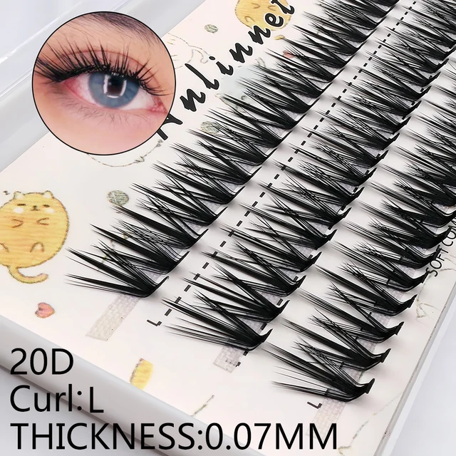 Klaster rzęs 10D/20D L Curl 60 wiązki/pudełko Indywidualne rzęsy Naturalne przedłużenie rzęs Makijaż Klaster rzęs Faux Mink