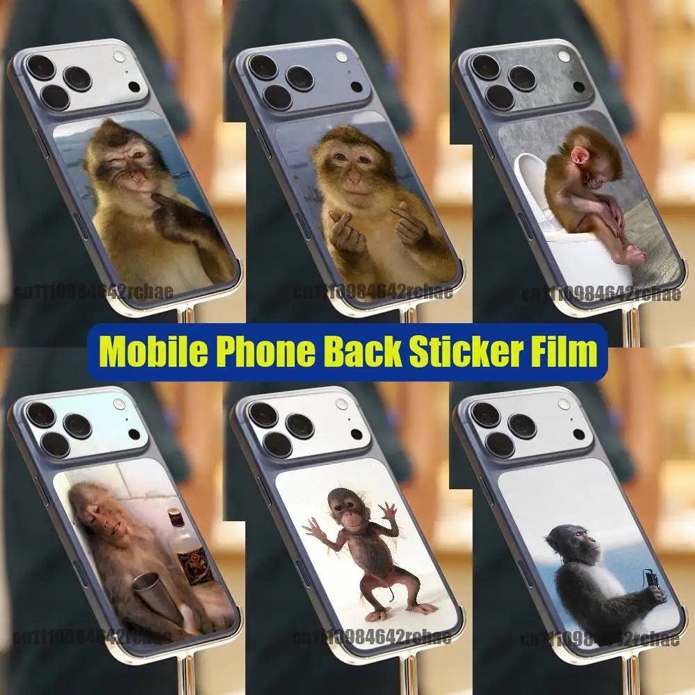 

For Funny Monkey MEME iPhone 17 Pro Max Phone Back Sticker Film Decal Skin Wrap DIY Custom Stickers Full Cover