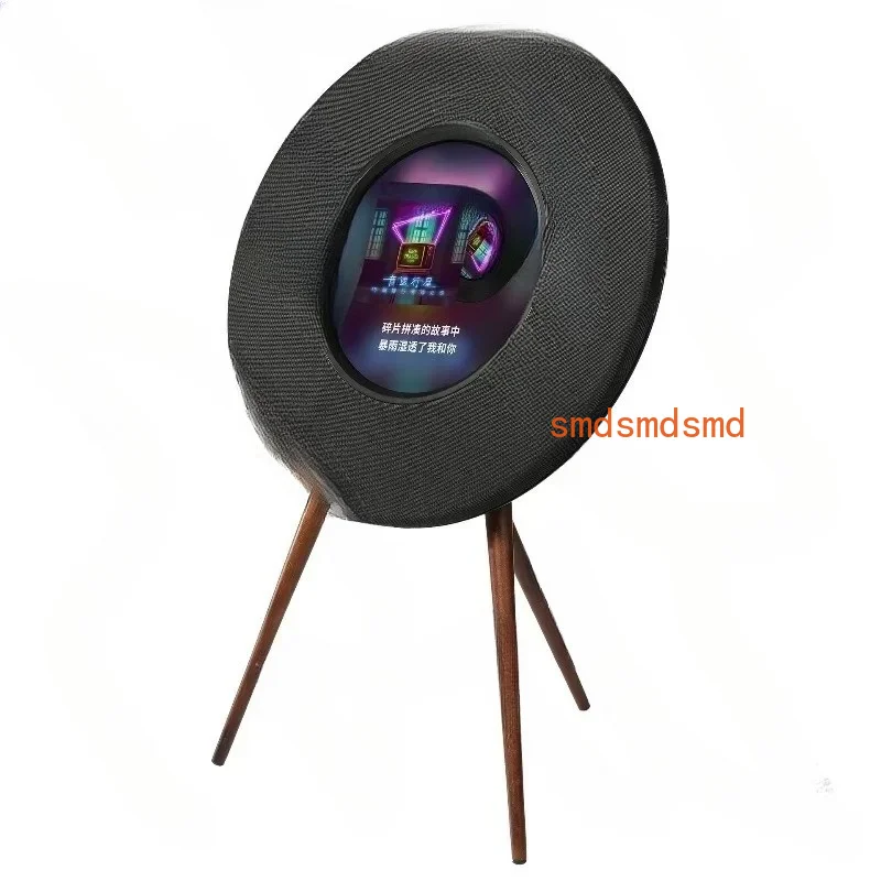 R1 Large Disc Vinyl Speaker for Home,High-Power Bluetooth Audio,Screen Lyrics Display,Portable KTV Entertainment System,Retro
