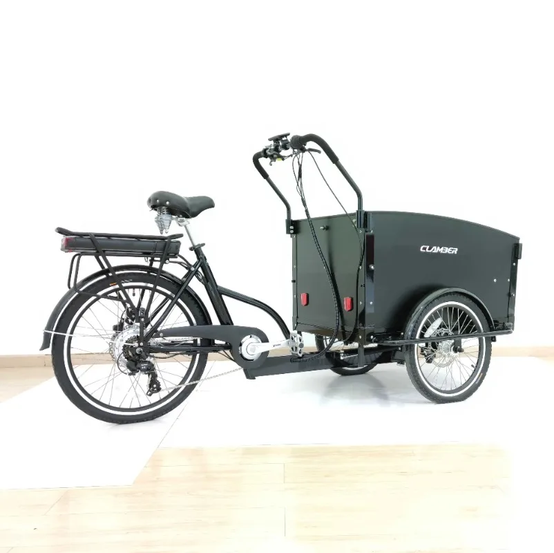 EU Warehouse 26 Inch 3-Wheel Cargo Electric Bike with Rear Hub 36V 250W Motor Steel Frame Carry Kids and Goods