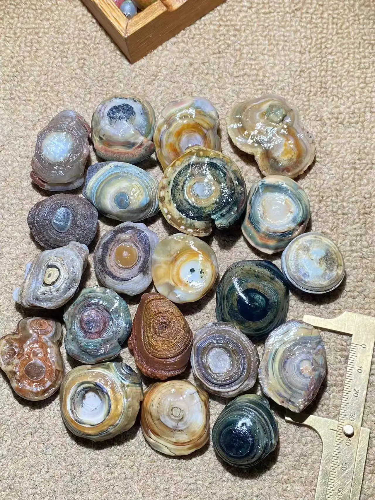 1pcs/lot China's specialty of the world treasure Gobi agate rough stone single big eye used for inlay rings pendants bracelets