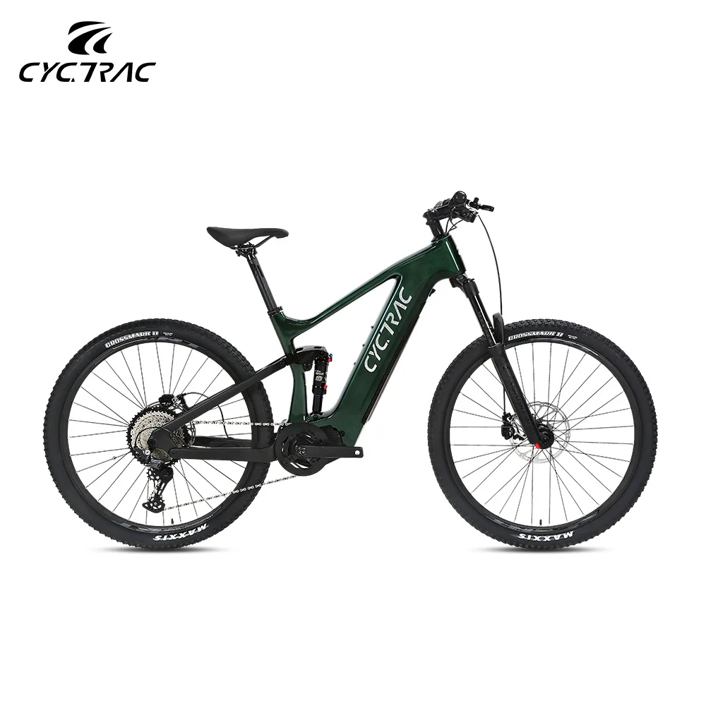 Carbon Fibre Full Suspension EM10 Mountain Electric Bicycle with 500W Centarl Motor Rockshox Fork Bicycle Parts Ebike for Sale