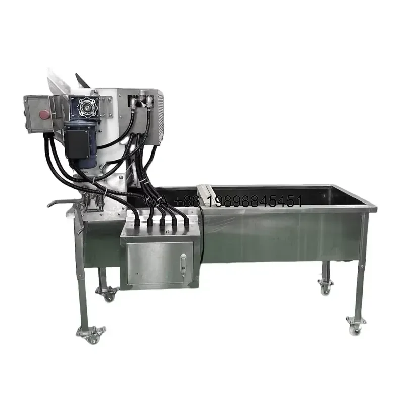 Wmwmnu Automatic Honeycomb Uncapping 200 Pcs/Hour Capacity for Honey Uncapping Tank American Factory