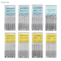 6Pcs/Box Dental Engine Use Endodontic Gates Drill Peeso Reamers Glidden Rotary 28mm/32mm #1-6 Stainless Steel Endo Files Dentist