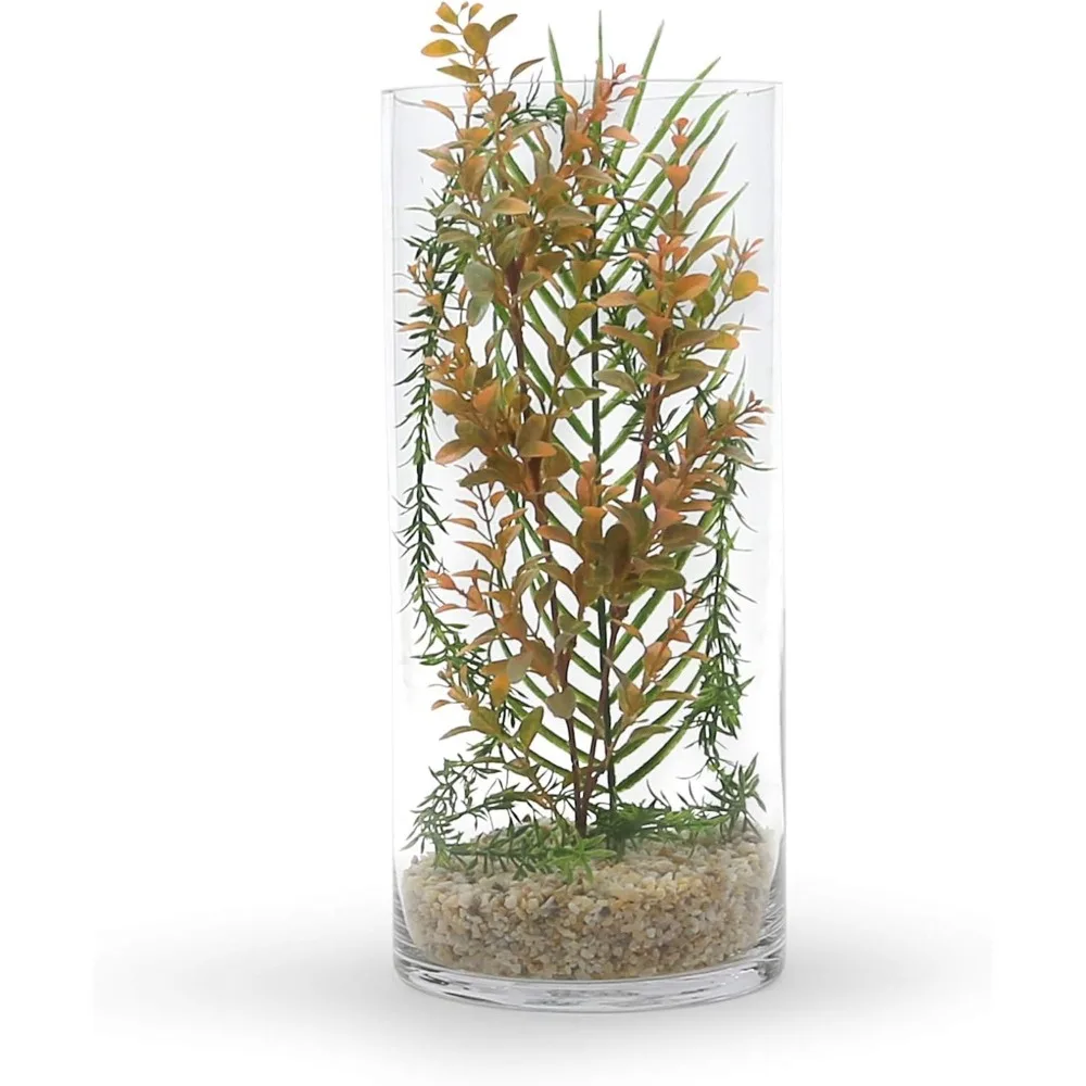 Clear Large Diameter Glass Cylinder Vase, Bulk Floral Container, Wide Planter Terrarium for Home Decor and Garden Use