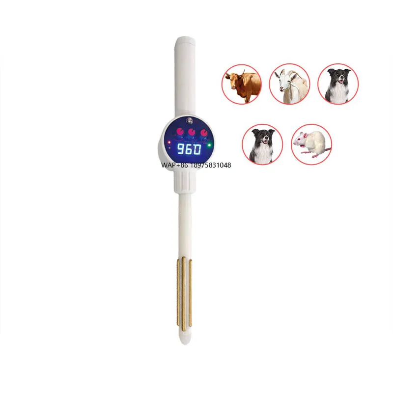 

Электрическая стимуляция экстрактора спермы для свиней, лошадей, крупного рогатого скота и овец.