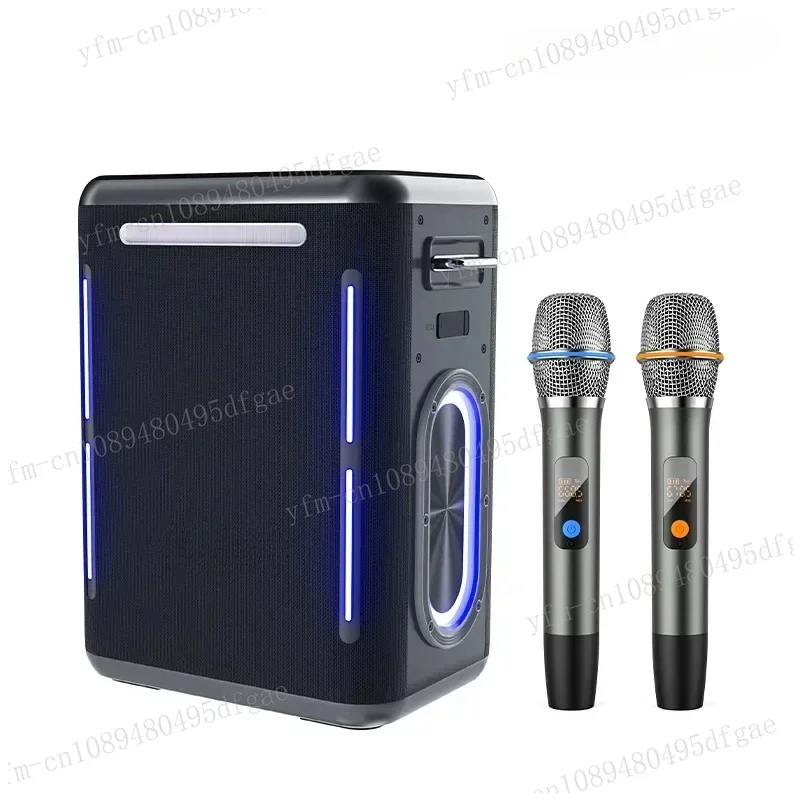 

300W conference outdoor portable waterproof KTV sound party 1981 bass speaker Bluetooth speaker karaoke